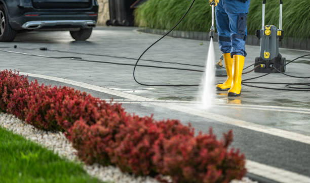 Best Roof Pressure Washing  in Pasco, WA
